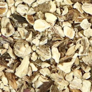 burdock root