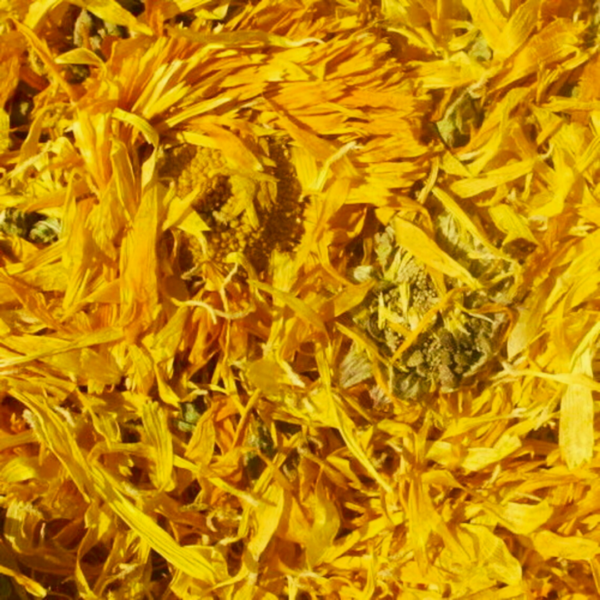 Calendula Flowers ♡ (Organic & Dried): Acne + Skin Healing + Respiratory Health + Anti-Aging + Approx. 25 Servings