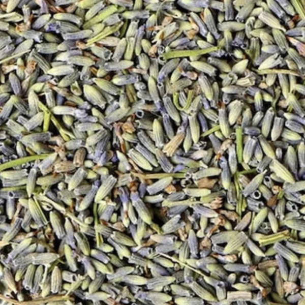 Lavender ♡ (Organic & Dried): Mood Enhancement + Sleep Health + Relaxation + Approx. 25 Servings