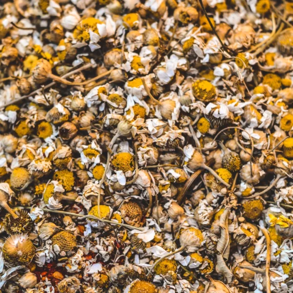 Chamomile ♡ (Organic & Dried): Anxiety Relief + Mood Booster + Digestion + Sleep Health + Approx. 25 Servings