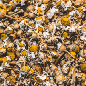 chamomile