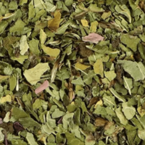 echinacea