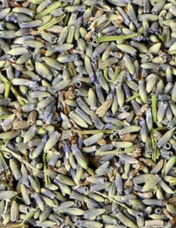 lavender