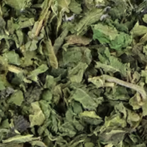 nettle leaf