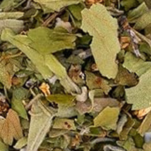 hawthorne-leaves-and-flowers-3.png