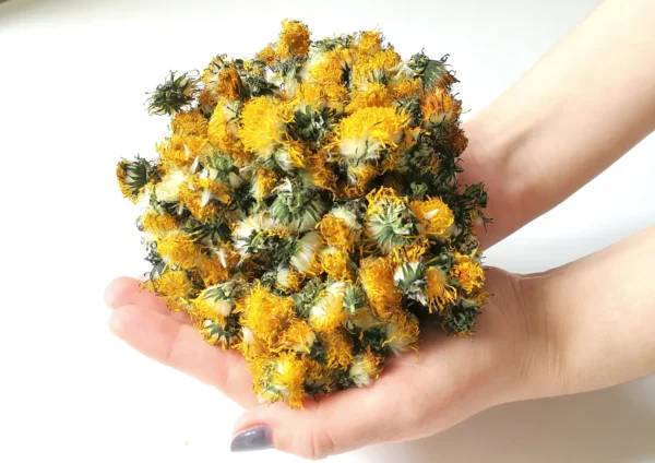 Dandelion Flowers ♡ (Organic & Dried): Vitamins A,C & K + Anti-Inflammatory + Immune Health + Supports Liver Function + Approx. 25 Servings - Image 3